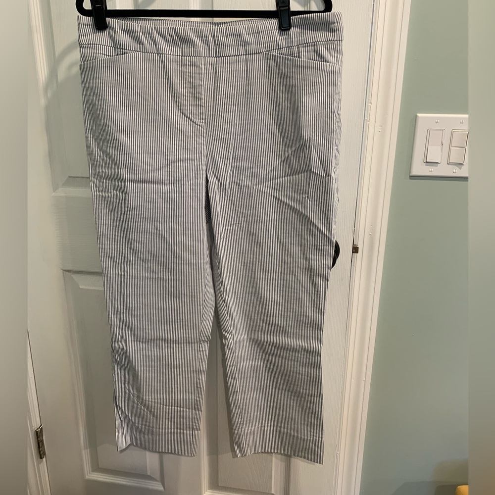 Hilary Radley Blue Stripped Capri Pant XL